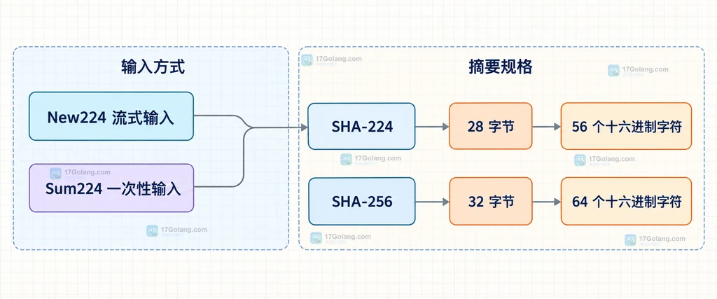 SHA-224 与 SHA-256 的摘要字节长度、十六进制长度和 New224、Sum224 输入边界说明图