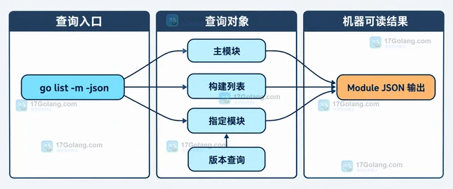 Go go list -m -json 怎样导出模块构建信息