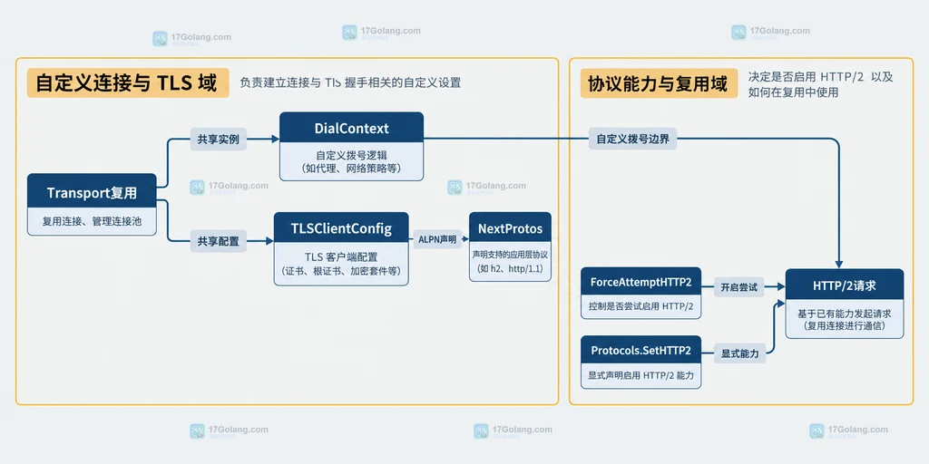 复用 Transport、自定义 DialContext、TLSClientConfig、NextProtos、ForceAttemptHTTP2 与 Protocols.SetHTTP2 的静态依赖关系图