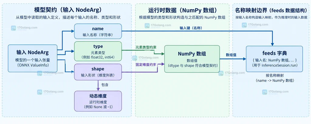 ONNX Runtime 输入名称、数据类型、静态或动态形状与 feeds 映射的静态关系图