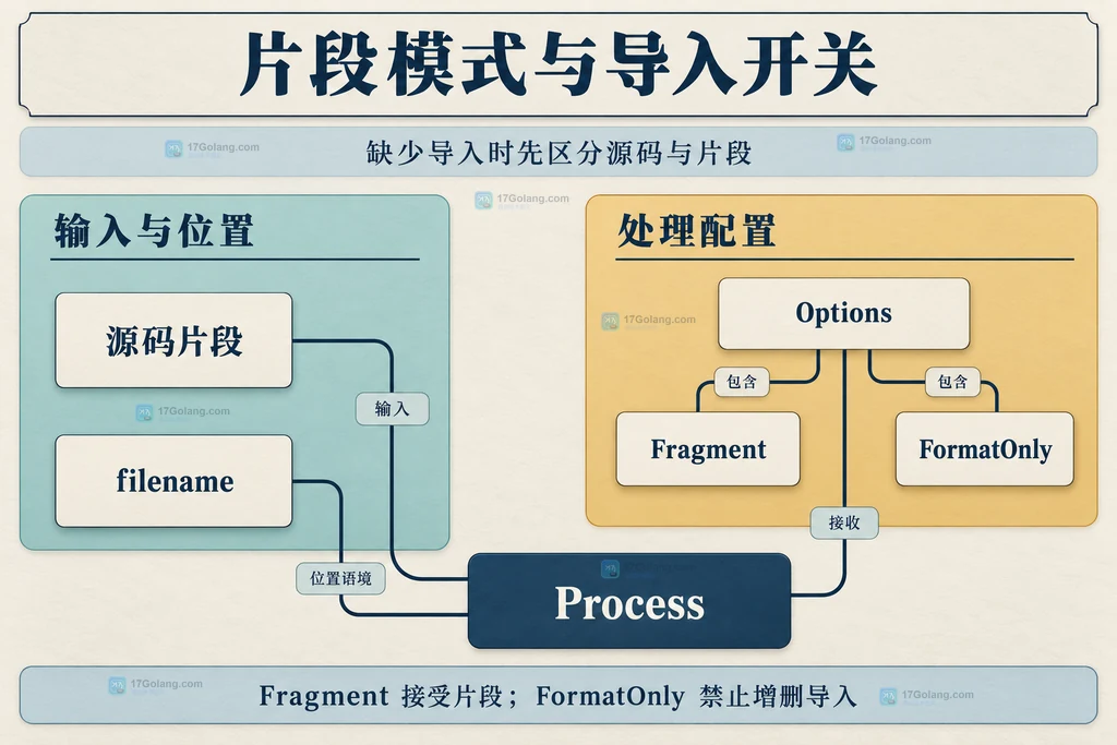 源码片段、Options、Fragment、FormatOnly 与 Process 的参数关系