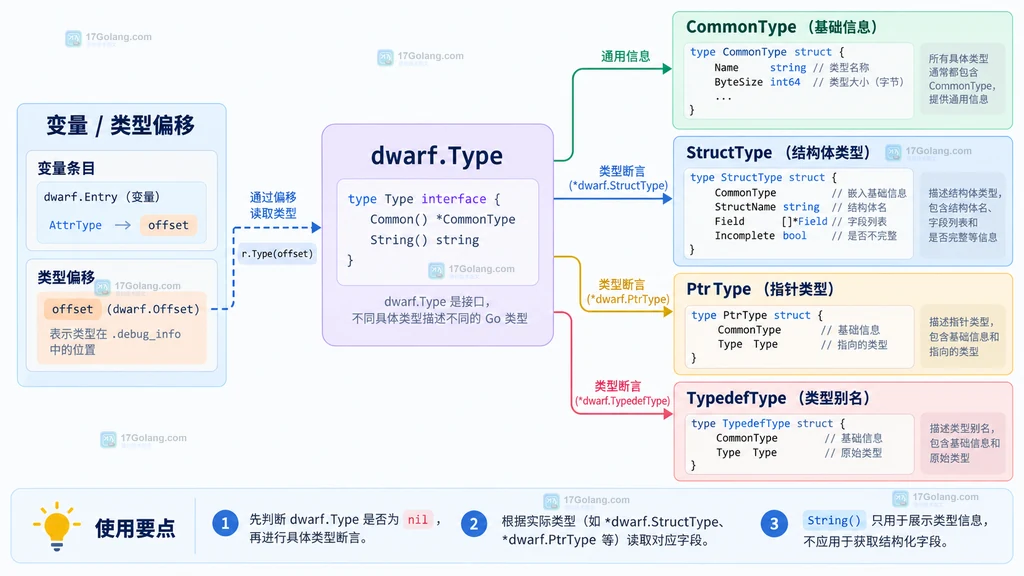 dwarf.Type按具体类型断言读取CommonType、StructType、PtrType和TypedefType字段的结构图