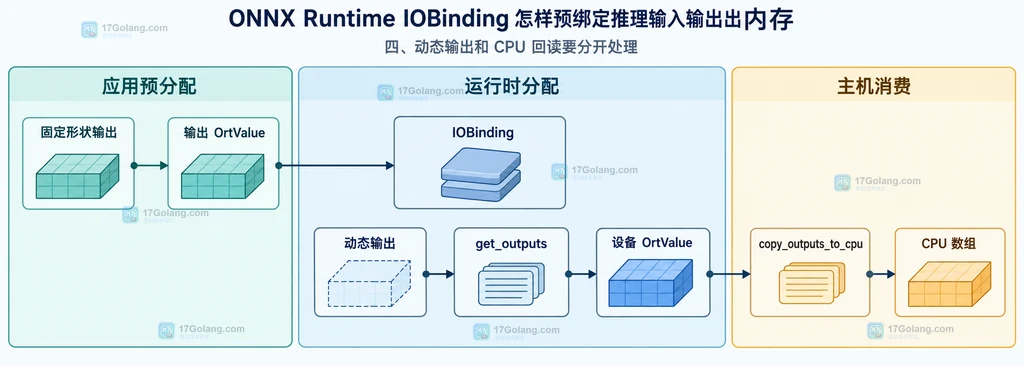 ONNX Runtime IOBinding 固定输出 OrtValue、动态输出 get_outputs 和 copy_outputs_to_cpu 的边界关系图