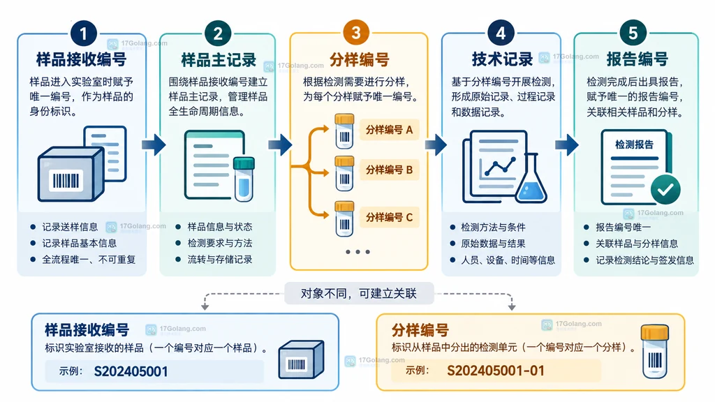 检测实验室从样品接收编号到分样、检测记录再到报告编号的静态关联图