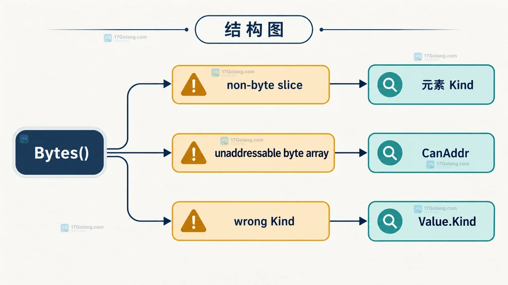 Go reflect.Value.Bytes 三类 panic 与元素 Kind、CanAddr、Value.Kind 检查的结构图