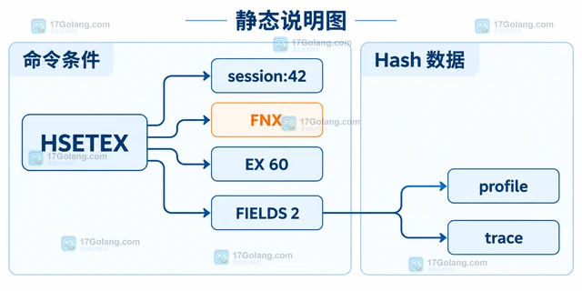 Redis HSETEX 怎么只在字段不存在时写入并设置过期