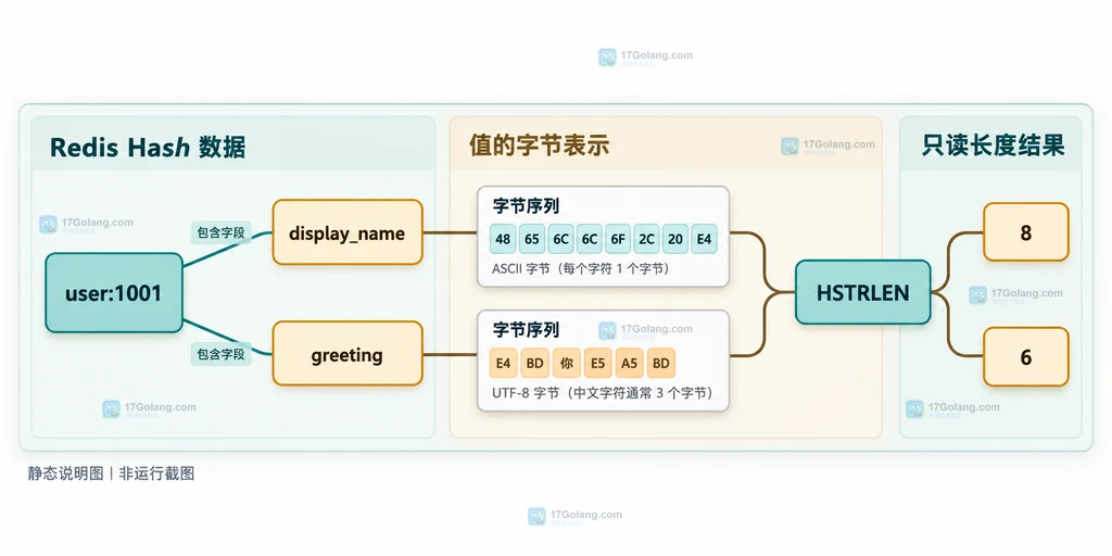 Redis HSTRLEN 将 Hash key、field 和字节序列值连接到长度结果的静态结构说明图