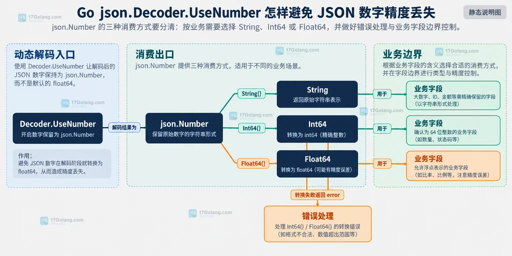 json.Number 的 String、Int64、Float64 消费出口与错误边界说明图
