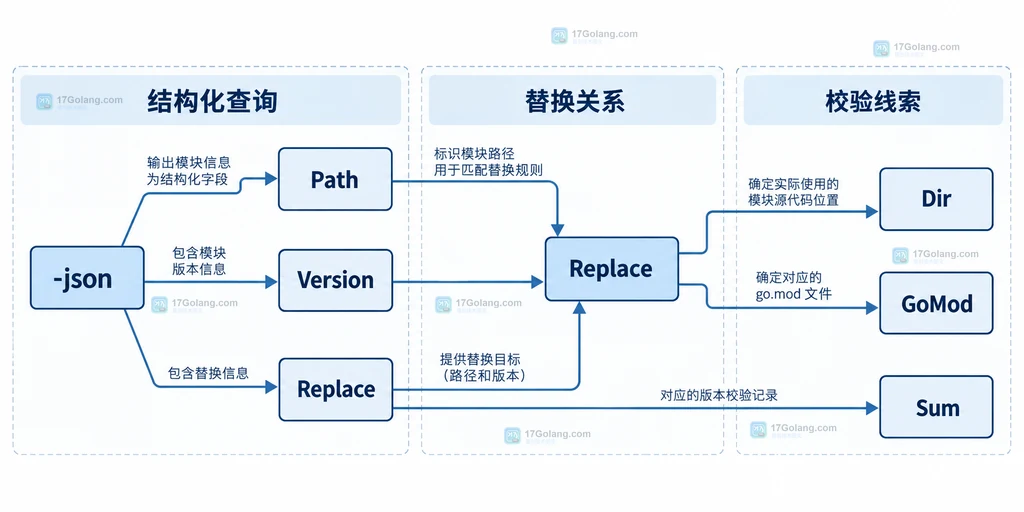 Go list -m -json 中 Path、Version、Replace、Dir、GoMod 与 Sum 的静态关系说明图