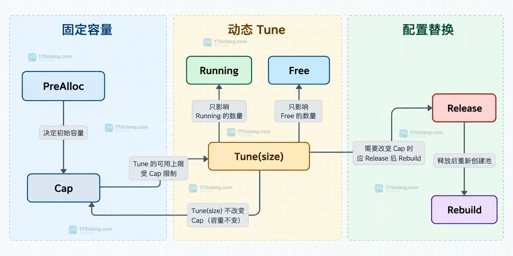 Ants 固定容量、动态 Tune 与 Release 重建池选择边界说明图