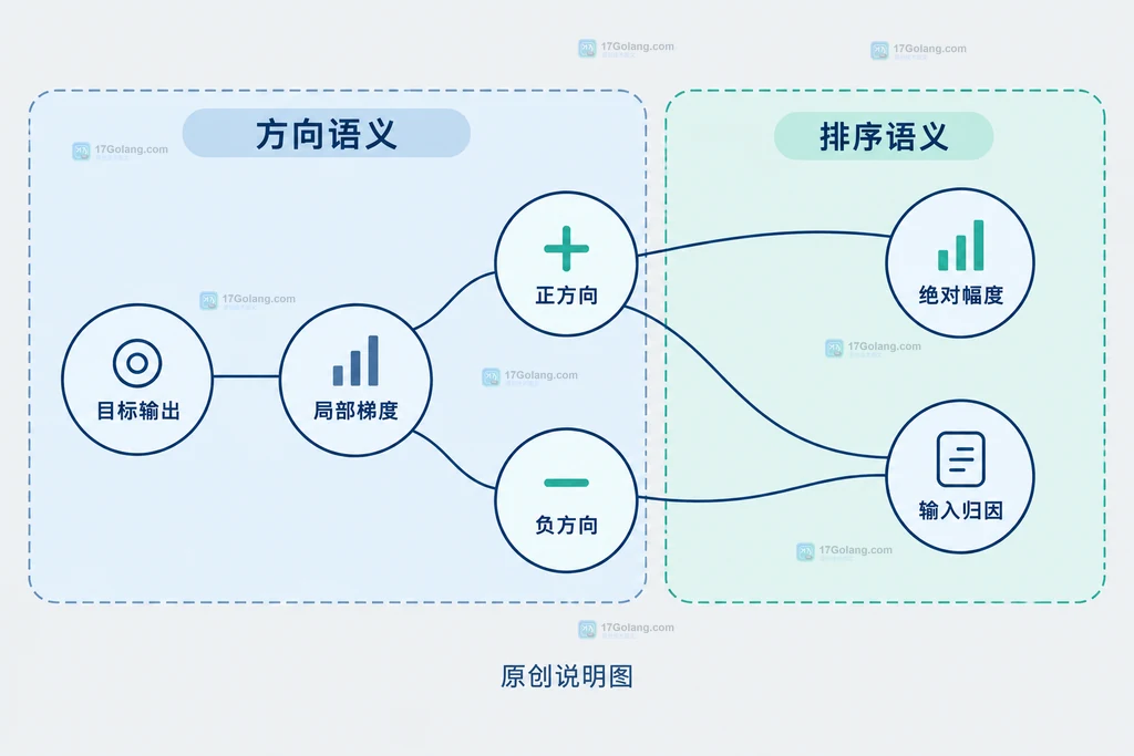 Captum Saliency 的 target、输入梯度与 abs 参数之间的静态关系说明图