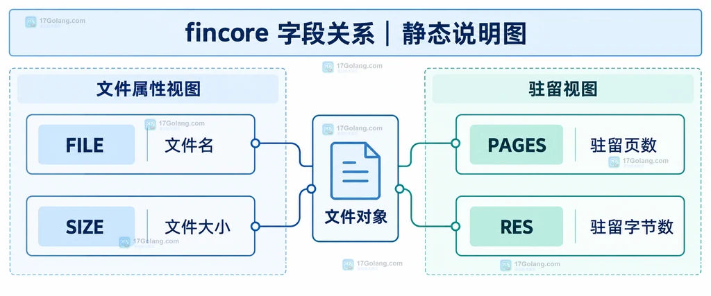 fincore 将文件映射到 PAGES、RES、SIZE、FILE 字段的静态结构说明图