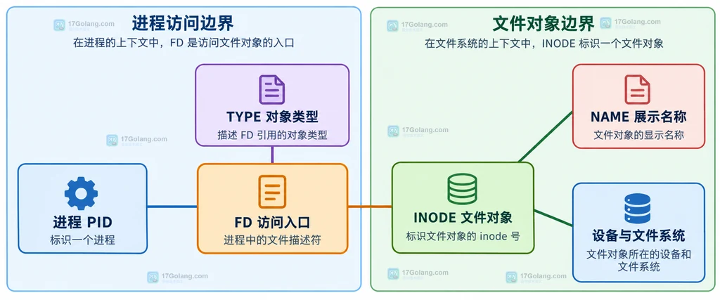 Linux lsfd 中进程文件描述符 FD、文件对象 inode 和名称之间的静态关系说明图