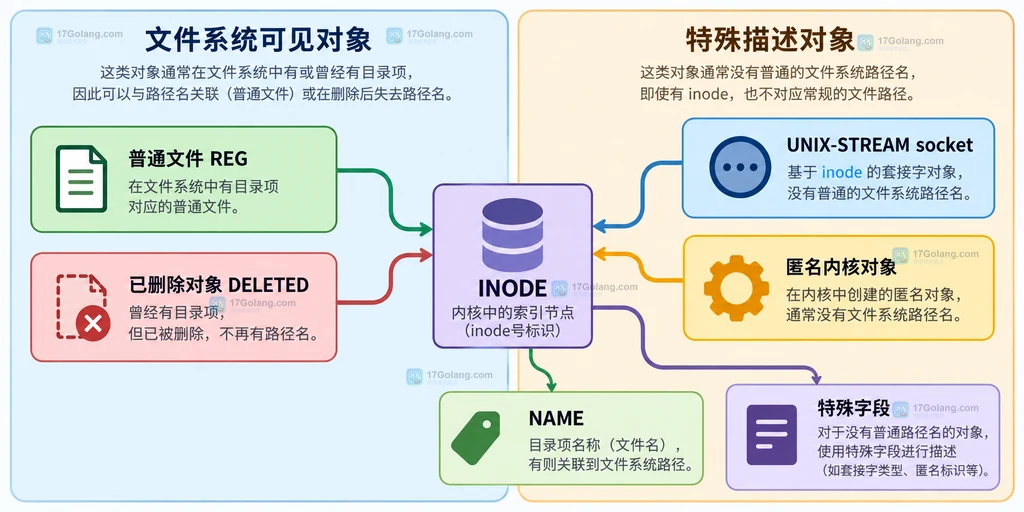 Linux lsfd 中普通文件、已删除文件、socket 和匿名对象的分类关系说明图