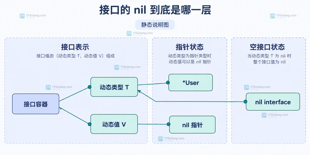 接口容器、动态类型T、动态值V与nil指针的双域结构说明图