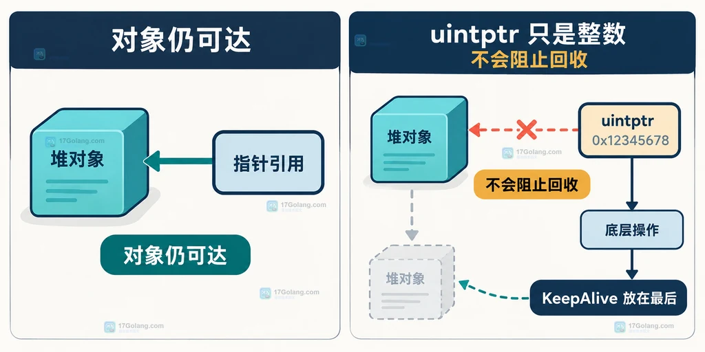 uintptr 不保活对象与 runtime.KeepAlive 生命周期关系结构图