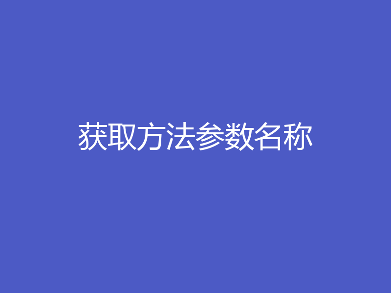 获取方法参数名称