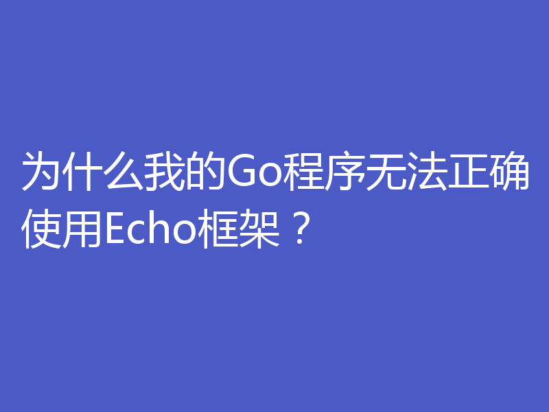 为什么我的Go程序无法正确使用Echo框架？