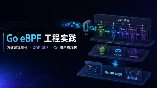 Go eBPF 内核可观测性与网络工程实践专题